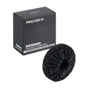 1180S0598 RIDEX