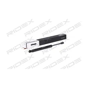 2454G0019 RIDEX