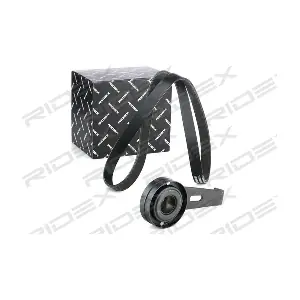 542R0695 RIDEX