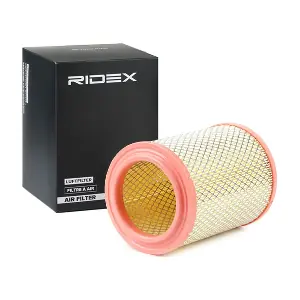 RIDEX 8A0312