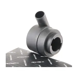3886V0070 RIDEX