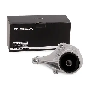 RIDEX 247E0110