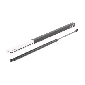 219G0879 RIDEX