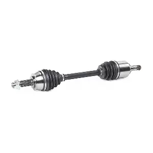 RIDEX 13D0538