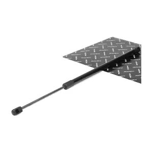 219G0287 RIDEX