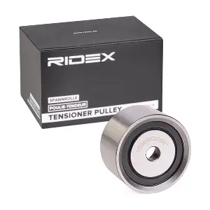 313D0006 RIDEX