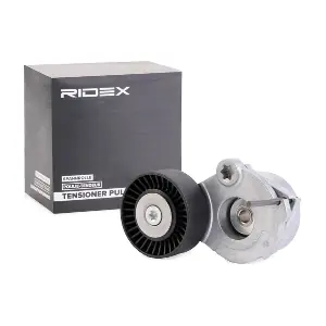 540T0026 RIDEX