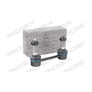 3229S0273 RIDEX