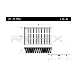 RIDEX 8A0102