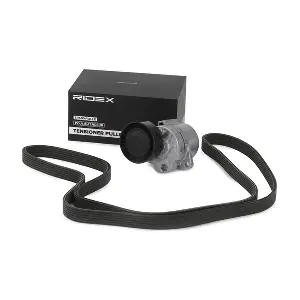 542R0413 RIDEX