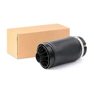 4119A0011 RIDEX