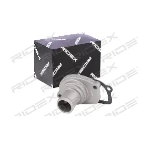 RIDEX 316T0138