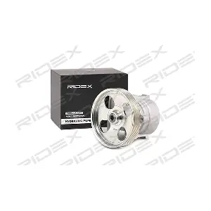 12H0069 RIDEX