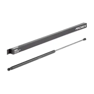 219G0720 RIDEX
