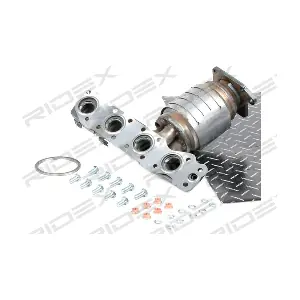 429C0010 RIDEX