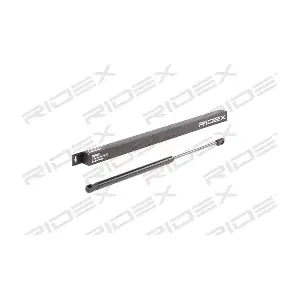 219G0547 RIDEX