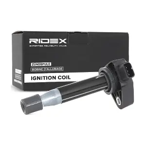RIDEX 689C0071