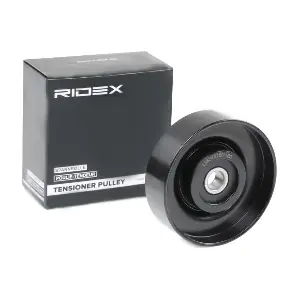 310T0227 RIDEX