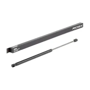 219G0300 RIDEX
