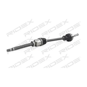 RIDEX 13D0625