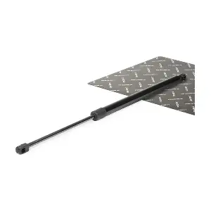 219G0196 RIDEX