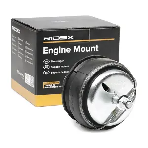 247E0247 RIDEX