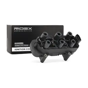 689C0267 RIDEX