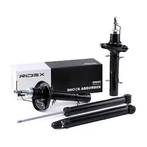 854S1724 RIDEX