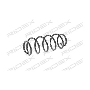 188C0501 RIDEX