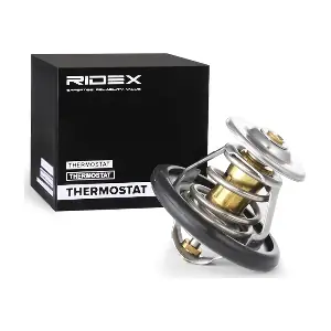 RIDEX 316T0017