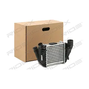 468I0031 RIDEX