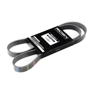 RIDEX 305P0179