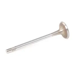 1269I0017 RIDEX