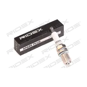 RIDEX 686S0021