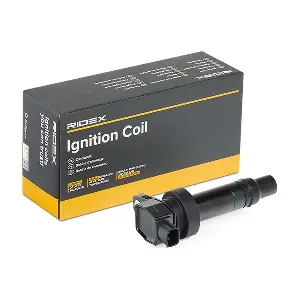 RIDEX 689C0171