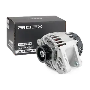4G0273 RIDEX
