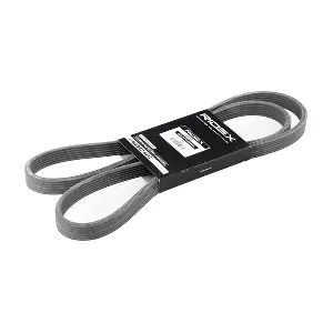 305P0245 RIDEX