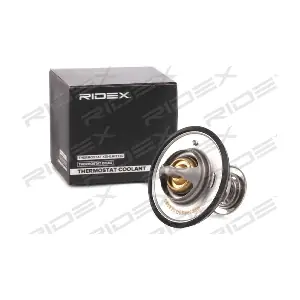 RIDEX 316T0021