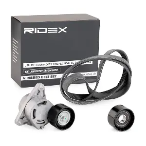 RIDEX 542R0289