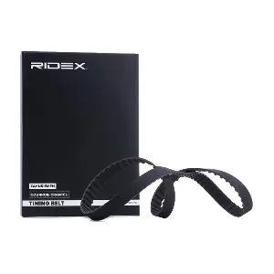 306T0318 RIDEX