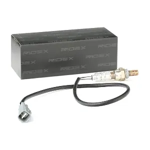 RIDEX 3922L0069