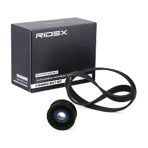 542R0269 RIDEX