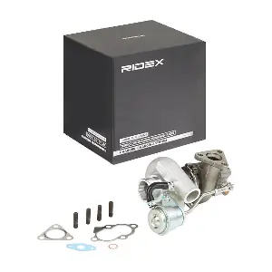 2234C10081 RIDEX