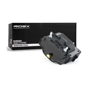 689C0170 RIDEX
