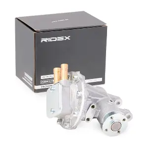 387V0024 RIDEX