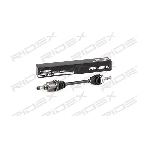 13D0306 RIDEX