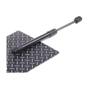 RIDEX 219G0265