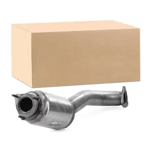 429C0054 RIDEX