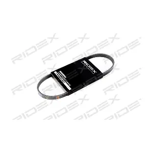 305P0006 RIDEX