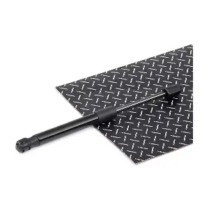RIDEX 219G0081